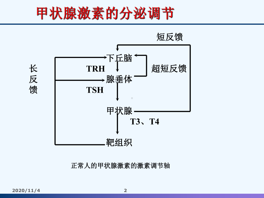 甲状腺实验室诊断小结模板课件.ppt_第2页