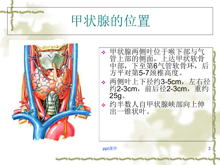 甲状腺病变的影像学表现-课件.ppt_第3页