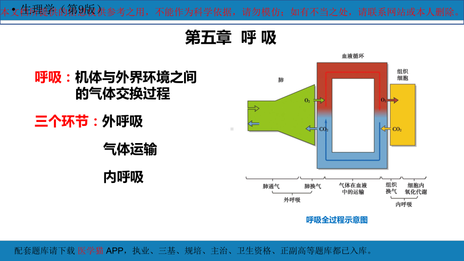 生理学呼吸专题知识讲座培训课件.ppt_第3页