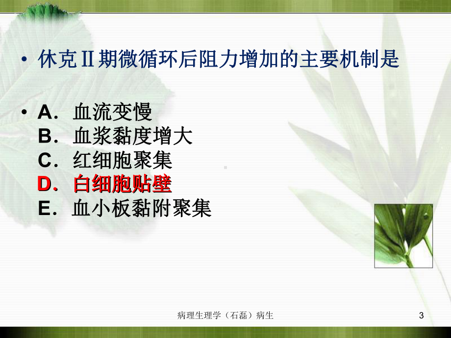 病理生理学病生课件.ppt_第3页