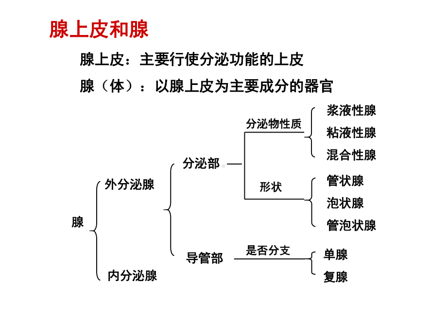 消化腺医学知识讲座课件.ppt_第2页