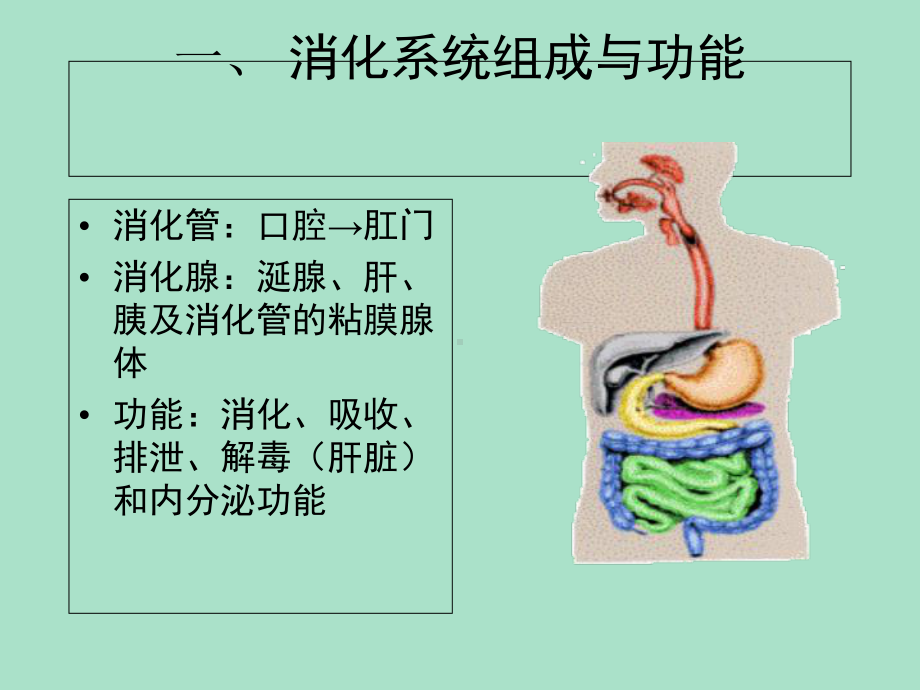 病理学-消化系统疾病之一课件.ppt_第2页