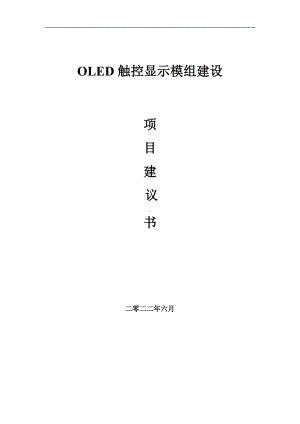 OLED触控显示模组项目建议书（写作模板）.doc