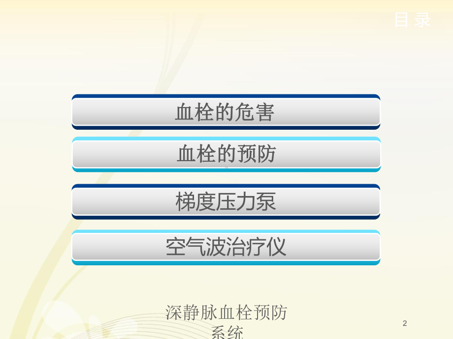 深静脉血栓预防系统培训课件.ppt_第2页