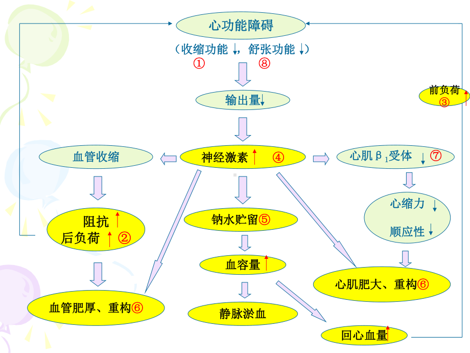 治疗慢性心脏功能不全药课件.ppt_第3页