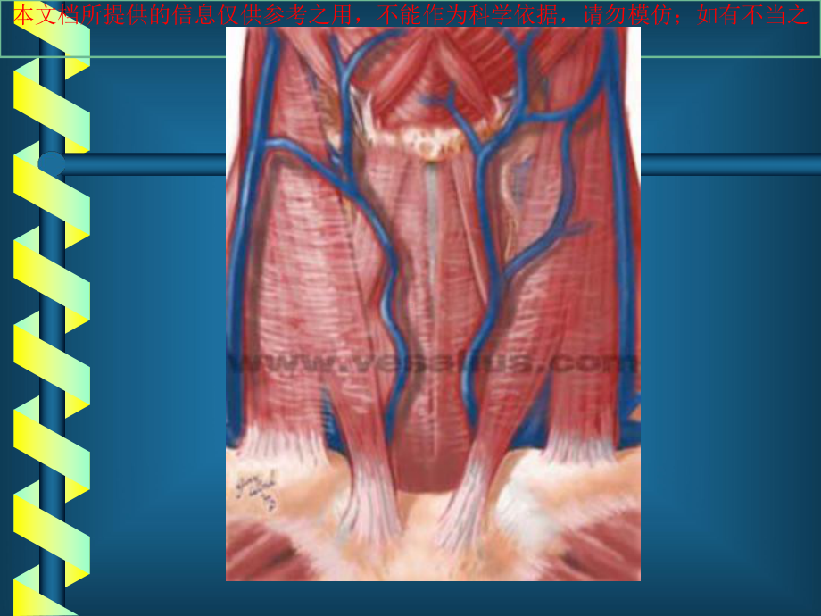 甲状腺疾病医疗培训课件.ppt_第3页