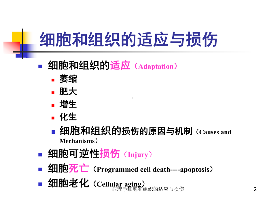 病理学细胞和组织的适应与损伤培训课件.ppt_第2页