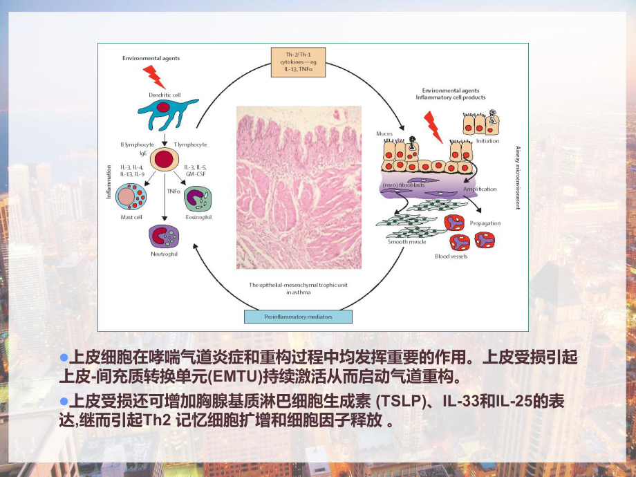 气道重构临床意义和干预措施-课件.pptx_第3页