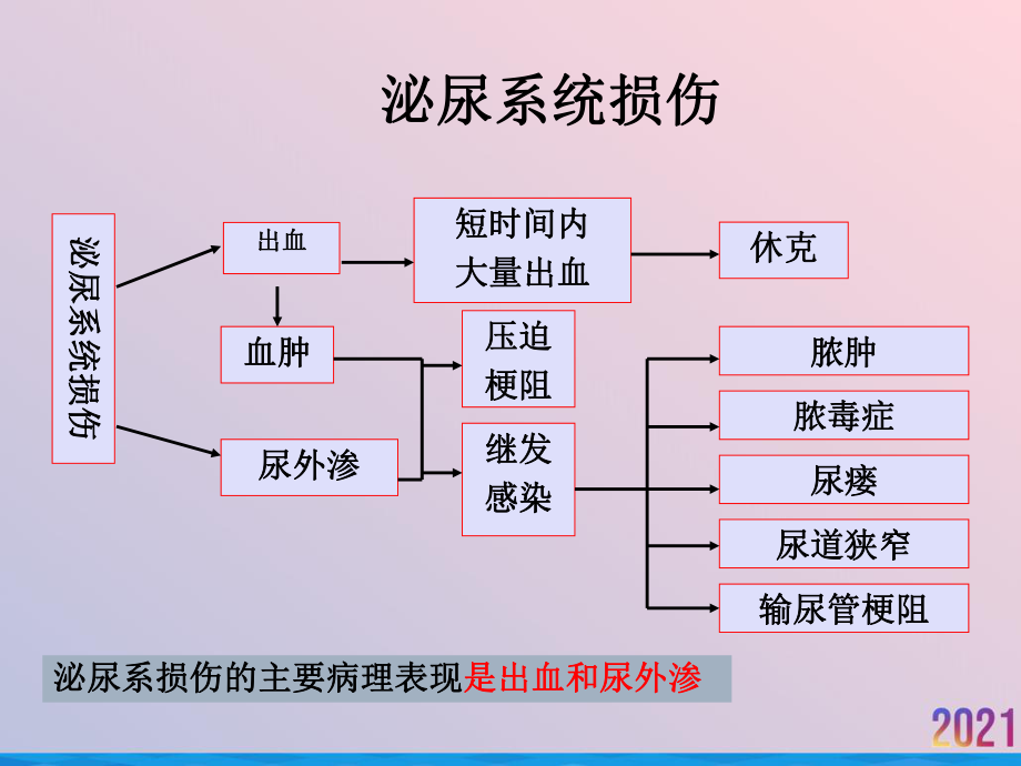 泌尿系损伤的护理课件.ppt_第3页