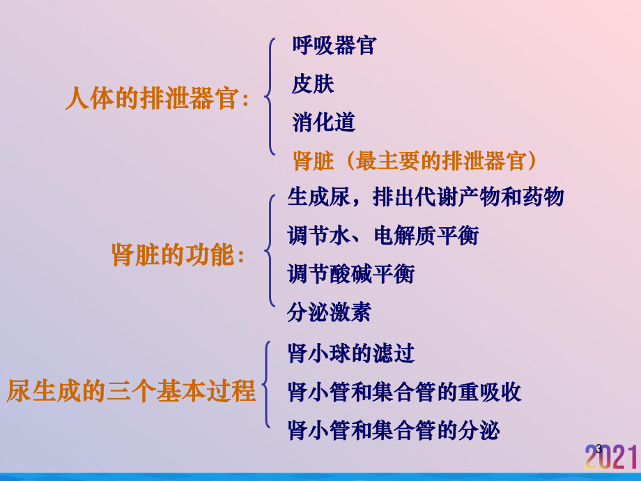 生理学经典第八章泌尿生理课件.ppt_第3页