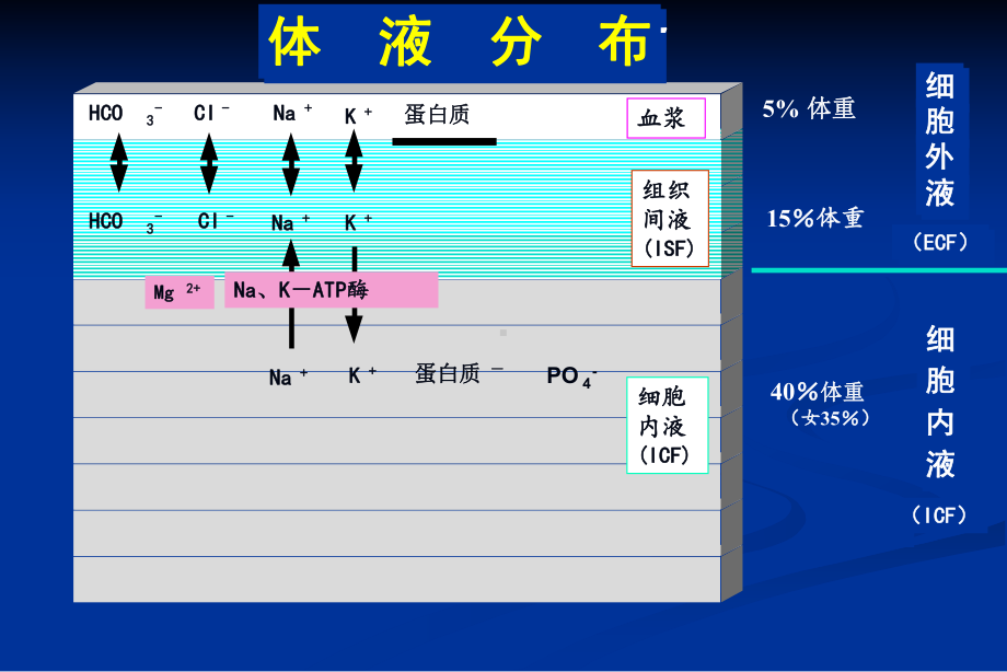 水电解质和酸碱平衡失调瞿课件.pptx_第3页