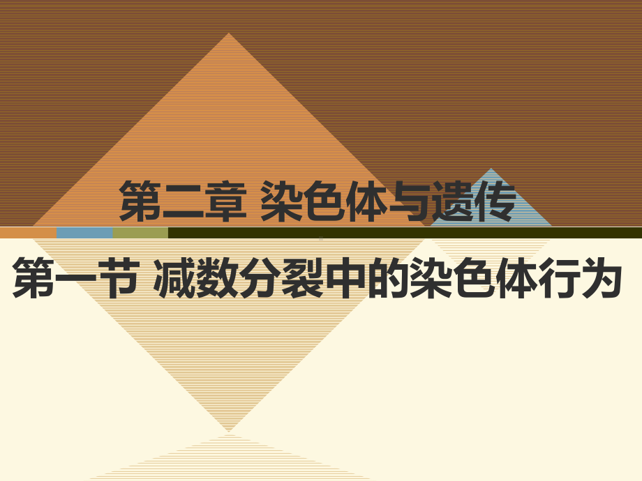 浙科版必修2-减数分裂中的染色体行为-课件(23张).pptx_第1页