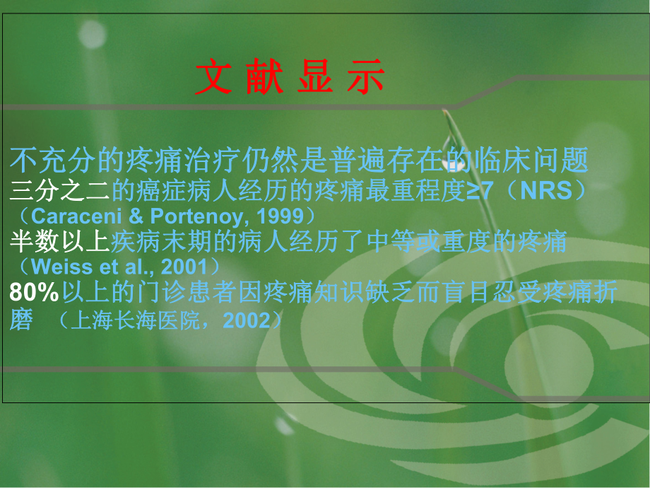 疼痛评估学习课件.ppt_第2页