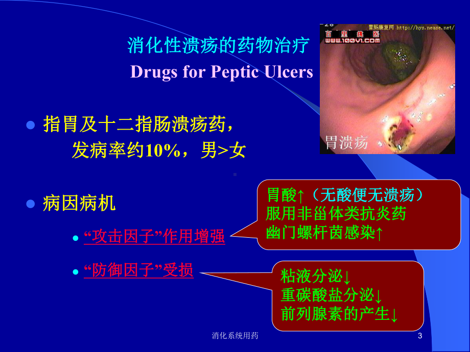 消化系统用药培训课件.ppt_第3页