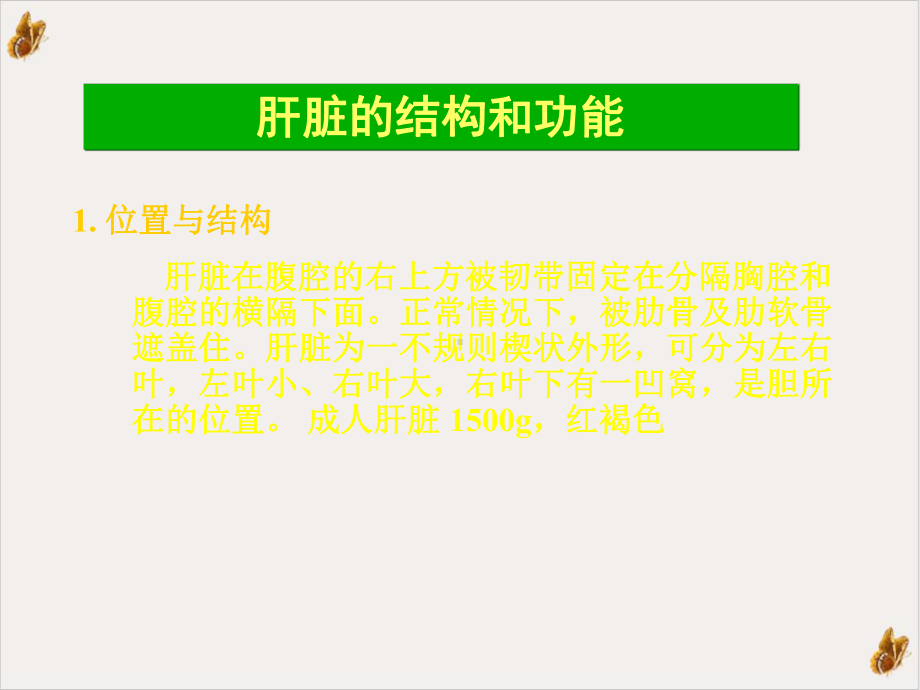 病毒性肝炎的发病原理及治疗教材课件.pptx_第2页