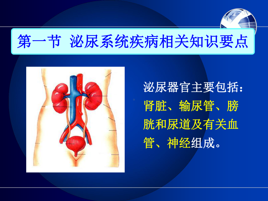 泌尿系统疾病常见症状体征的护理(修改版)课件.ppt_第2页