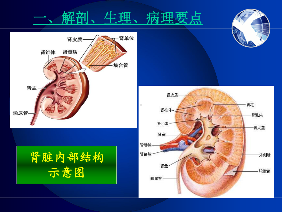 泌尿系统疾病常见症状体征的护理(修改版)课件.ppt_第3页