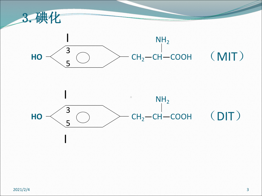 甲状腺功能减退症NEW课件.ppt_第3页