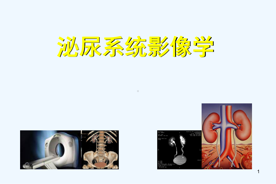 泌尿系统影像学课件.ppt_第1页