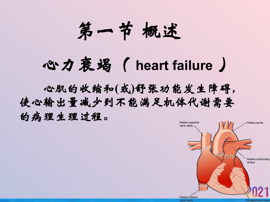 病理学与病理生理学课件第八章心功能不全-2.ppt_第3页