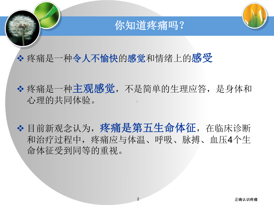 正确认识疼痛培训课件.ppt_第2页