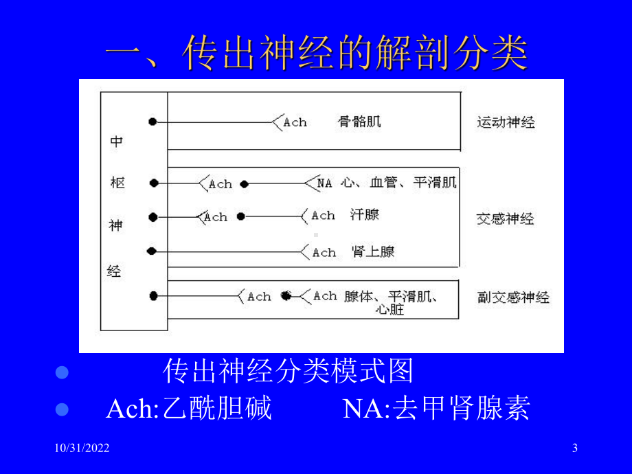 传出神经系统药理概论.ppt_第3页