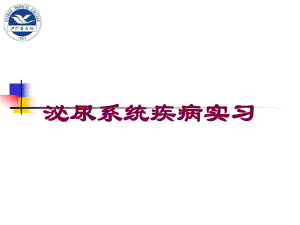 泌尿系统疾病实习培训课件.ppt