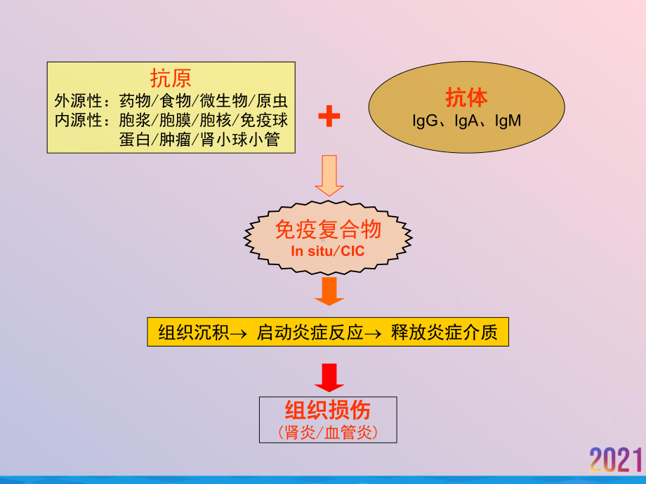 激素和免疫抑制剂在肾小球肾炎中的应用课件.ppt_第3页