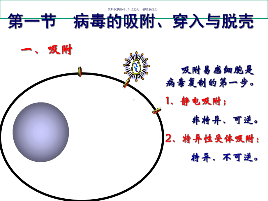 病毒的复制主题医学知识课件.ppt_第3页