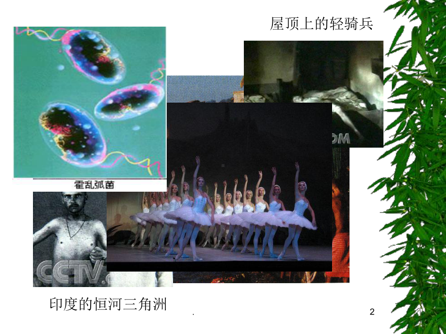 病原微生物之弧菌霍乱-副溶血课件.ppt_第2页