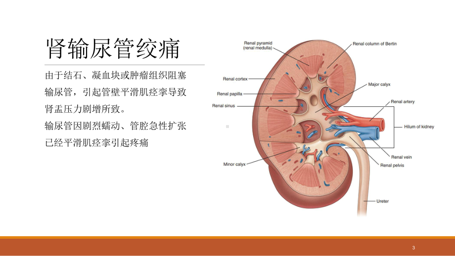 泌尿外科常见急症课件-2.ppt_第3页