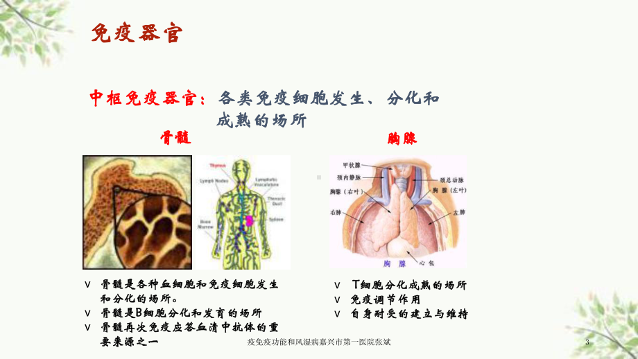 疫免疫功能和风湿病-课件.ppt_第3页