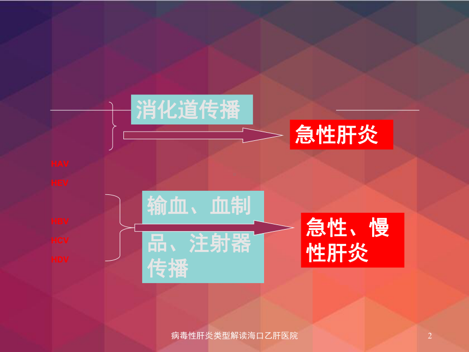 病毒性肝炎类型解读课件.ppt_第2页