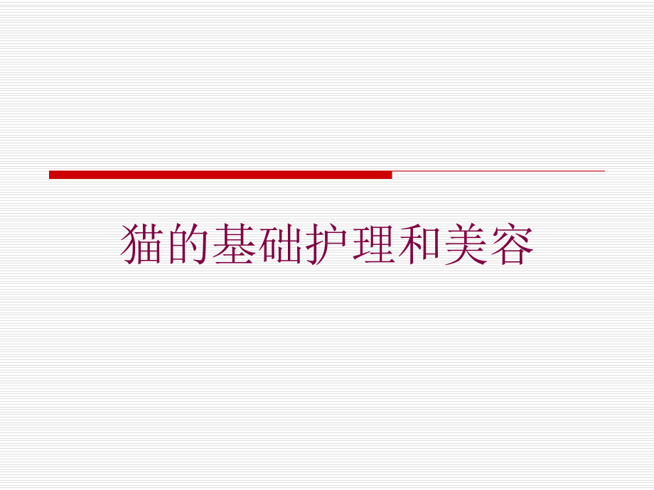 猫的基础护理和美容培训课件.ppt_第1页