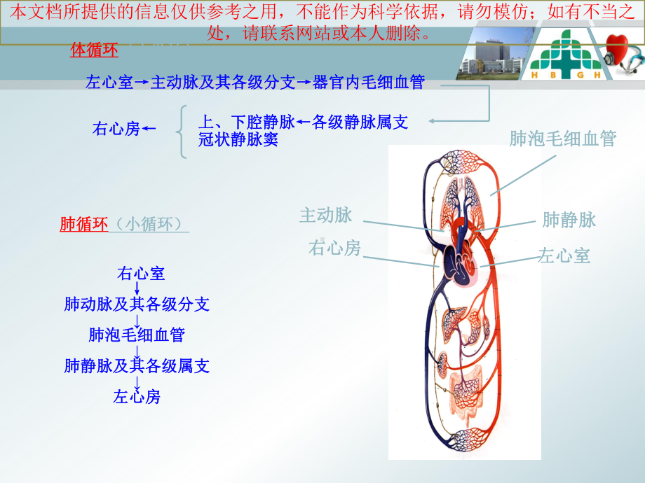 瓣膜置换术后护理培训课件.ppt_第3页