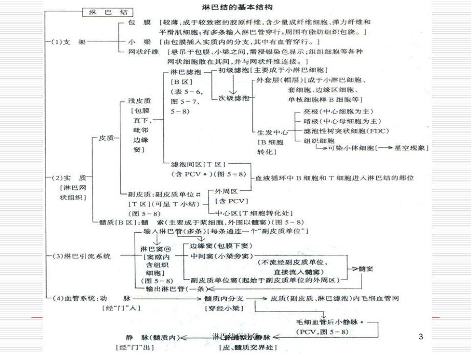 淋巴结病理学培训课件.ppt_第3页