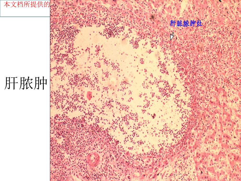 病理切片考试最完整培训课件.ppt_第2页