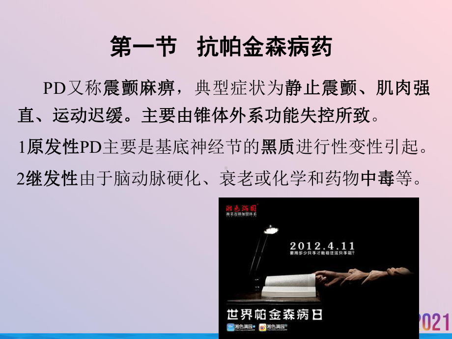 治疗中枢神经退行性疾病药课件.ppt_第3页