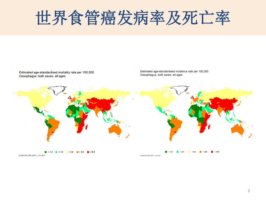 浅表食管癌分层治疗本课件.ppt_第2页