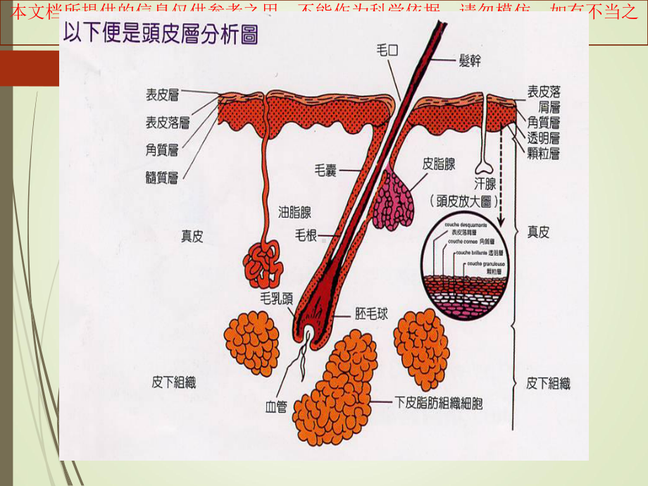 毛发基础和雄激素源性脱发培训课件.ppt_第3页