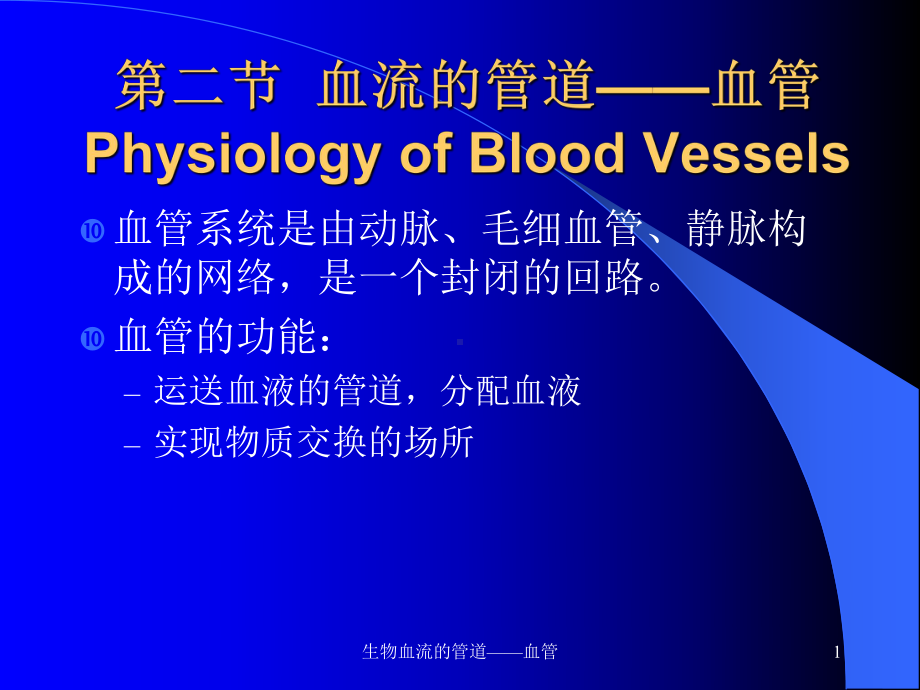 生物血流的管道-血管课件.ppt_第1页