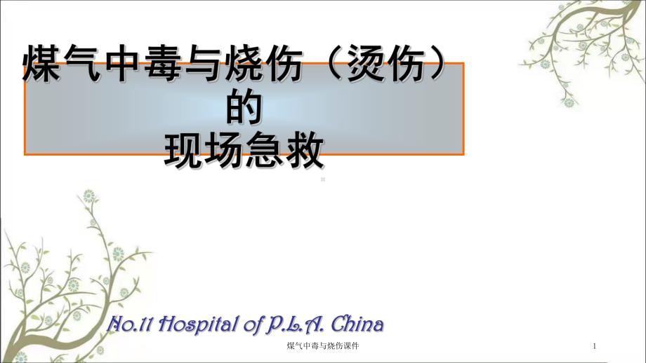 煤气中毒与烧伤课件.ppt_第1页