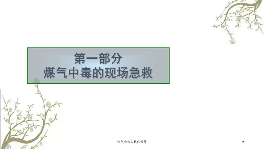 煤气中毒与烧伤课件.ppt_第2页