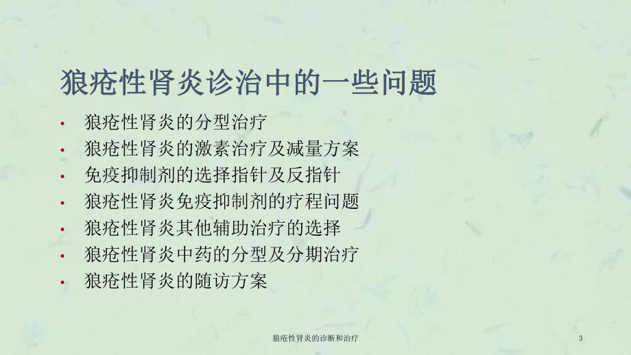 狼疮性肾炎的诊断和治疗课件.ppt_第3页