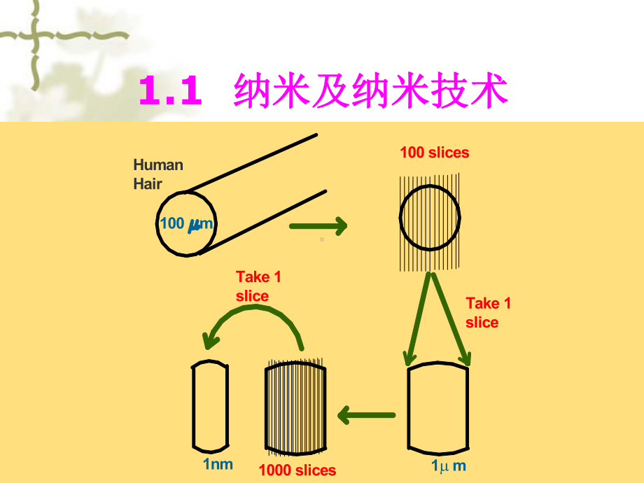 生物材料课件.ppt_第3页