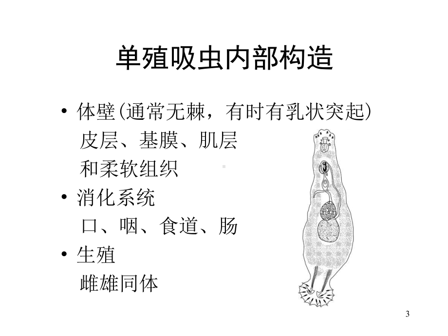 水产动物寄生虫病解析课件.ppt_第3页