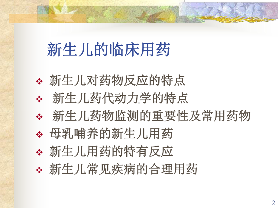 生儿的临床用药课件.ppt_第2页