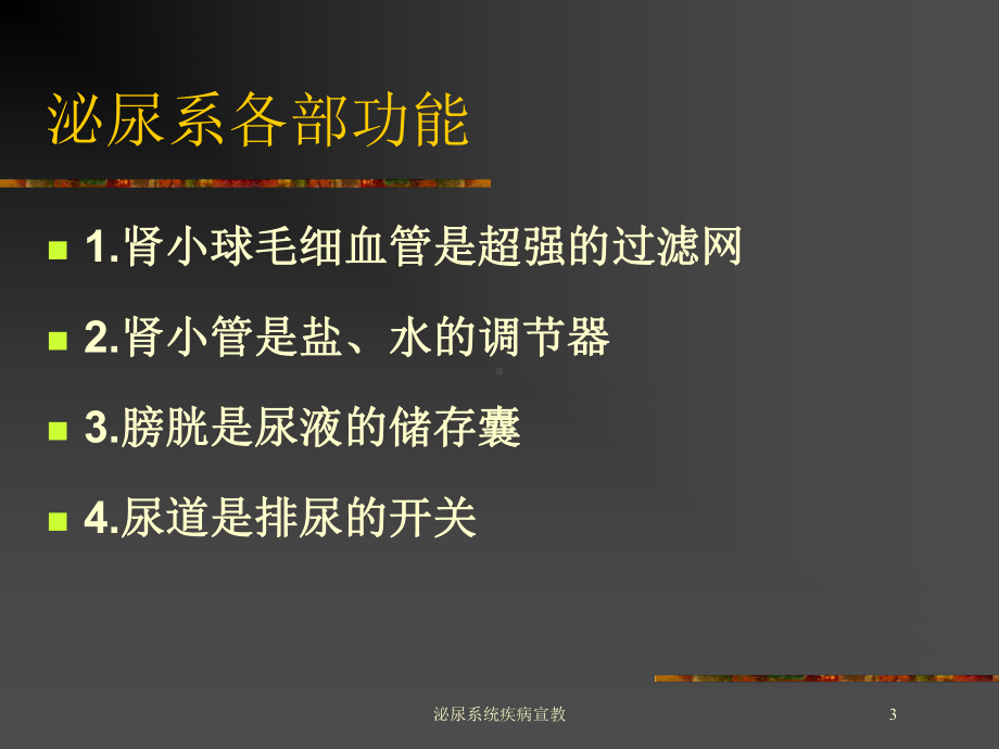 泌尿系统疾病宣教培训课件.ppt_第3页