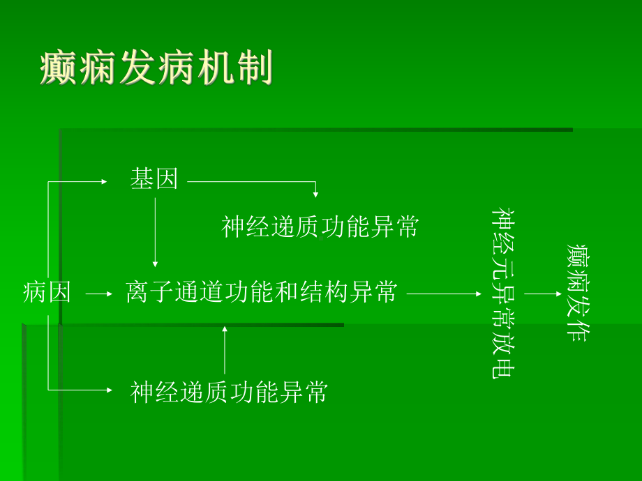 浅谈癫痫疾病的一些常识性知识课件.pptx_第2页