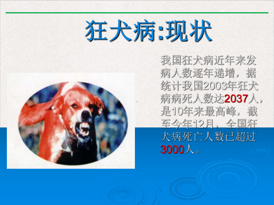 狂犬病疫苗治疗抗体及其诊断新版课件.pptx_第2页